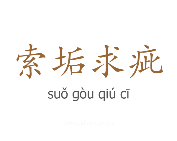 索垢求疵
