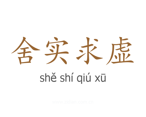 舍实求虚