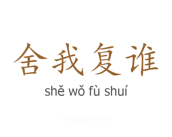 舍我复谁