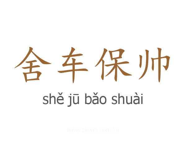 舍车保帅