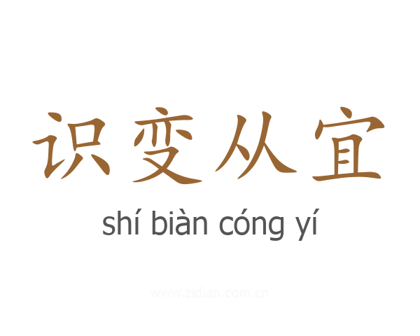 识变从宜