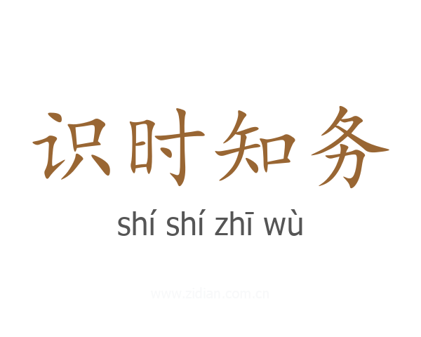 识时知务
