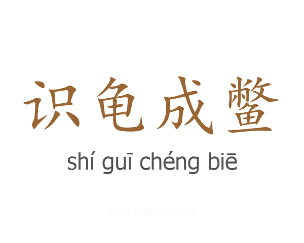 识龟成鳖