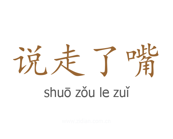 说走了嘴