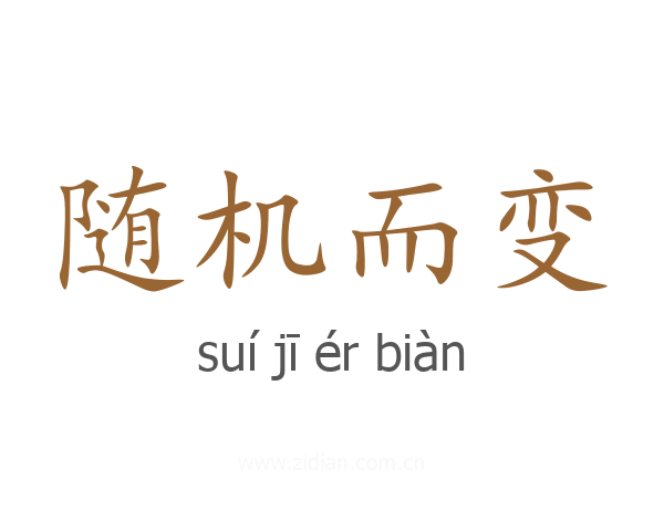 随机而变