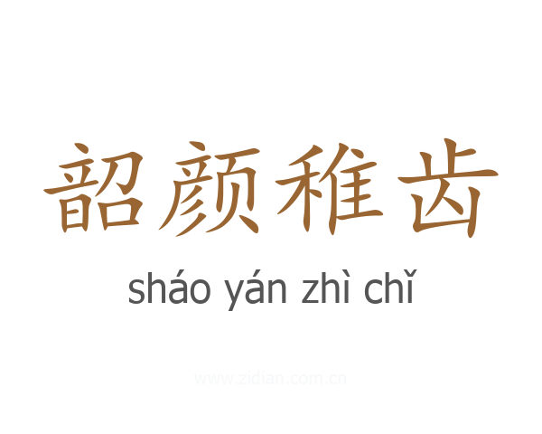 韶颜稚齿