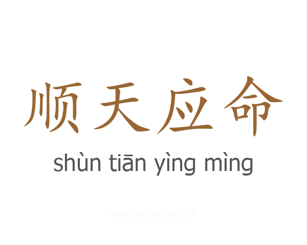 顺天应命