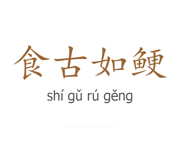 食古如鲠