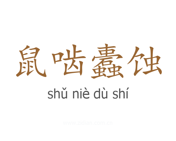 鼠啮蠹蚀