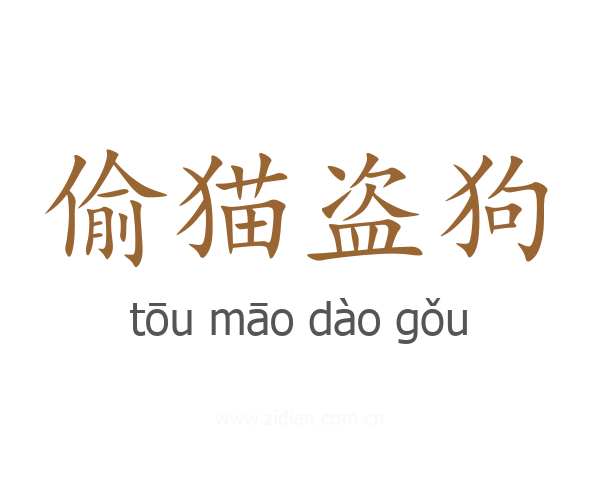 偷猫盗狗