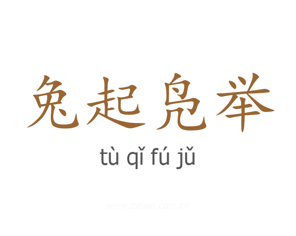 兔起凫举