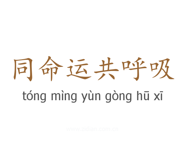 同命运共呼吸