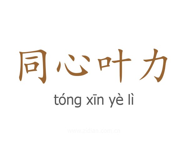 同心叶力