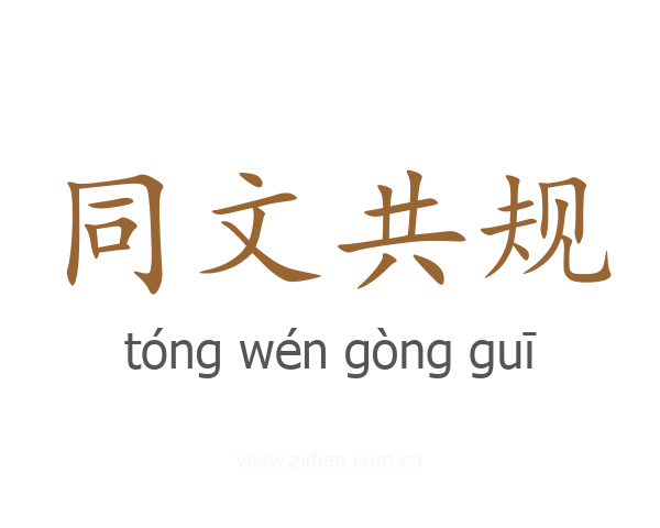 同文共规