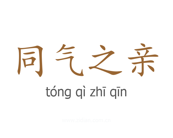 同气之亲