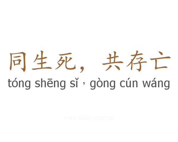 同生死，共存亡