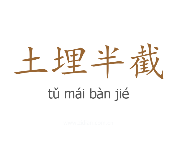 土埋半截