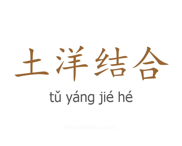 土洋结合
