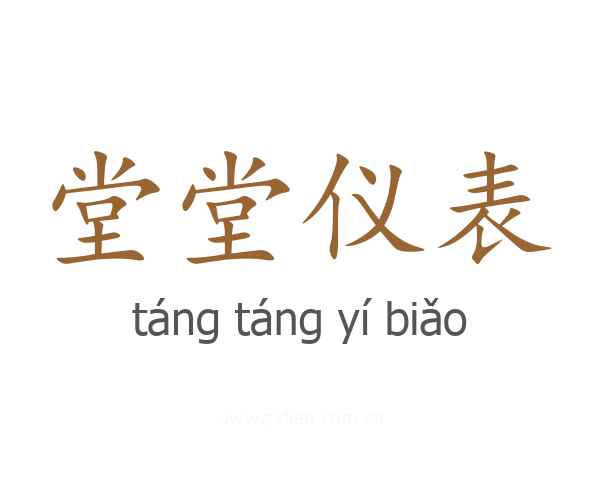 堂堂仪表
