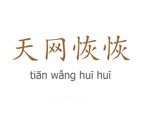 天网恢恢