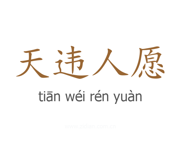 天违人愿