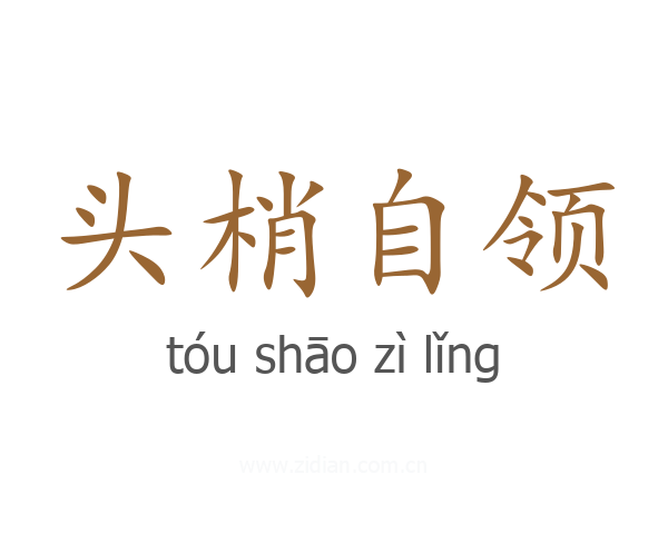 头梢自领