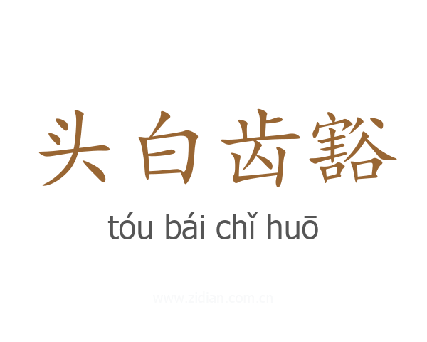 头白齿豁