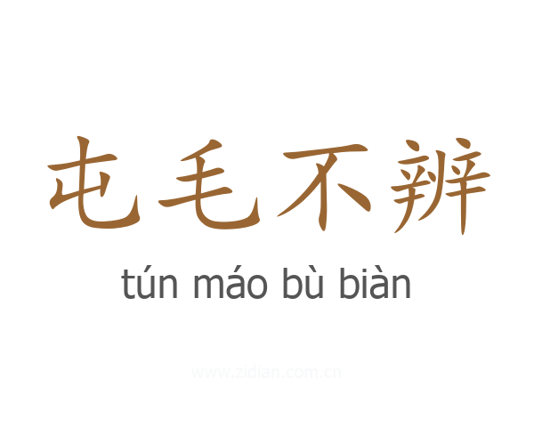 屯毛不辨