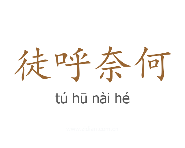 徒呼奈何