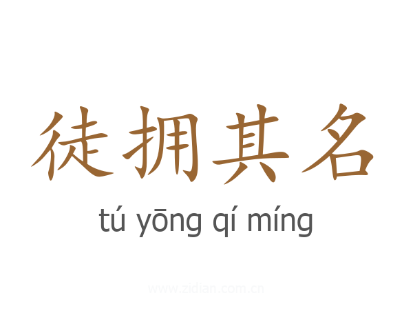 徒拥其名