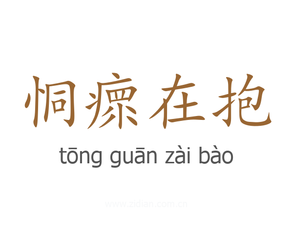 恫瘝在抱