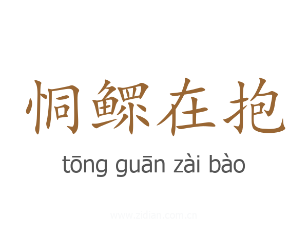 恫鳏在抱