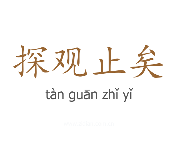 探观止矣