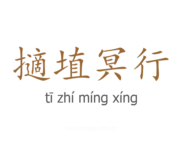 擿埴冥行