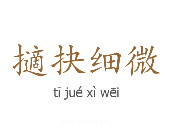 擿抉细微