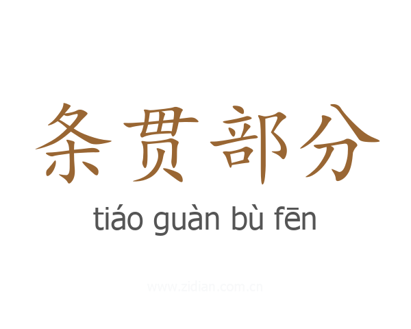 条贯部分