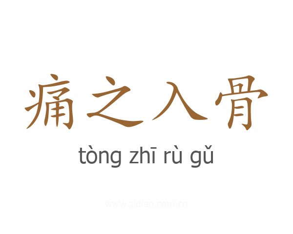 痛之入骨