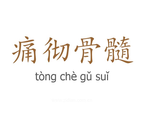 痛彻骨髓