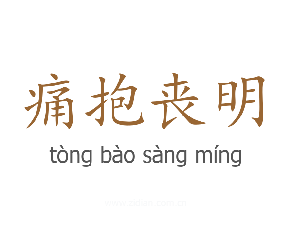 痛抱丧明