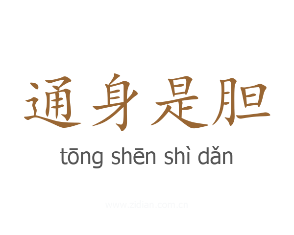 通身是胆