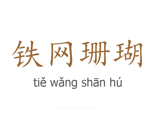 铁网珊瑚