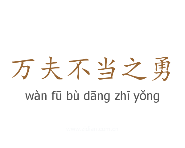 万夫不当之勇