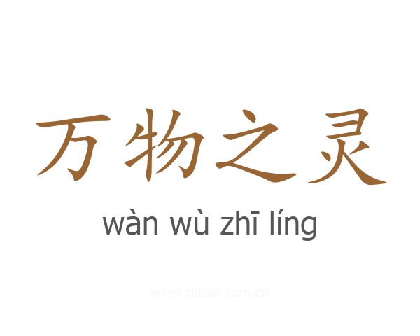 万物之灵