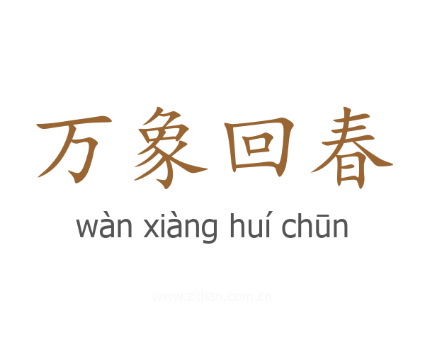 万象回春