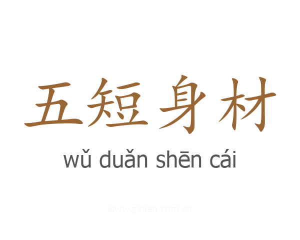 五短身材