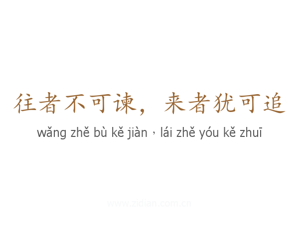往者不可谏，来者犹可追