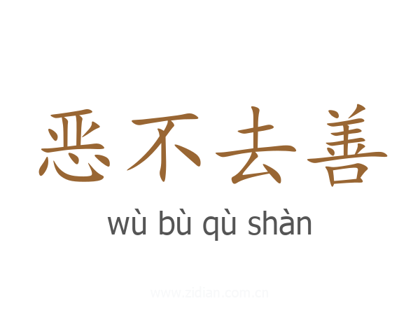 恶不去善