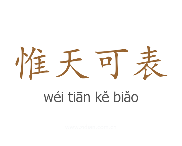 惟天可表