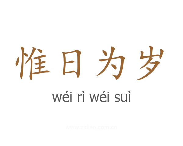 惟日为岁