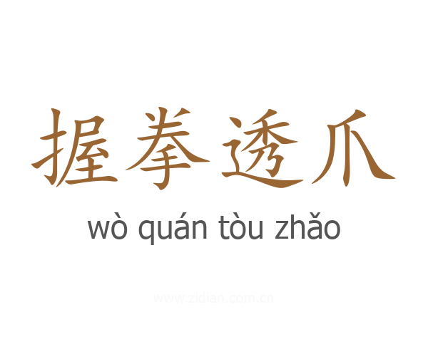 握拳透爪